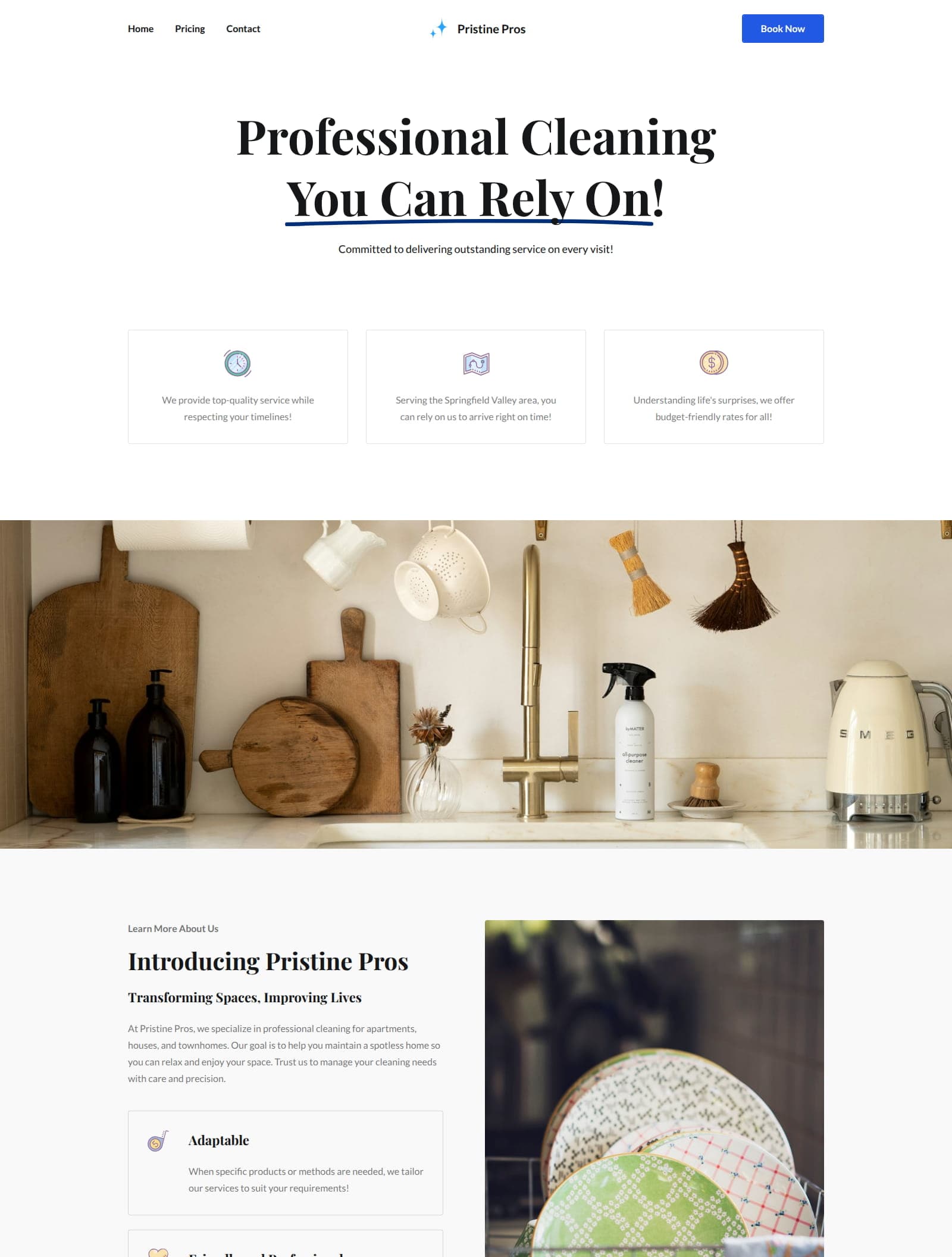 Cleaning Services