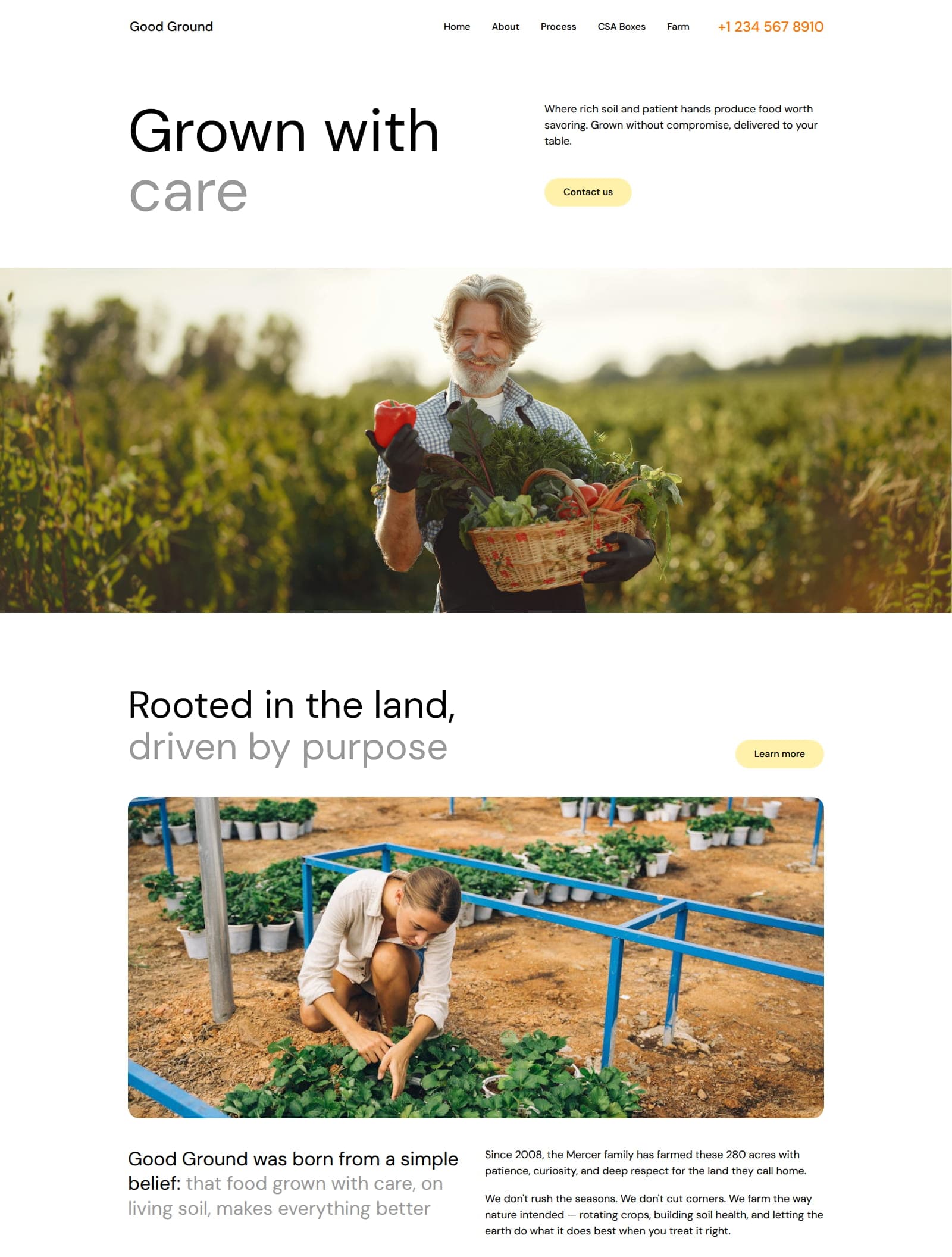Organic Farm