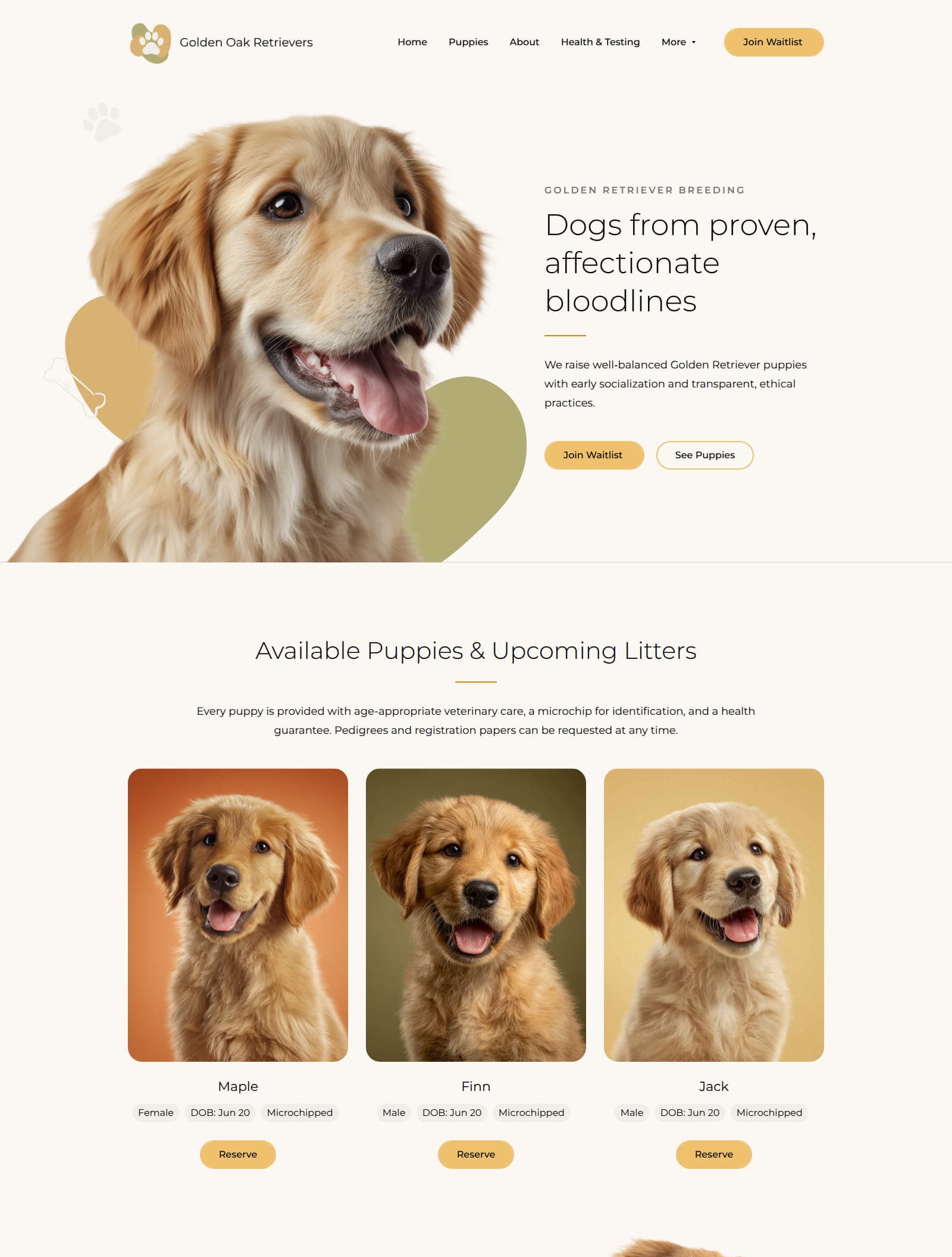 Dog Breeder